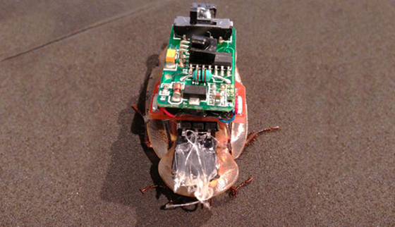 Cho&aacute;ng[-]với[-]d&ugrave;ng[-]Twitter[-]điều[-]khiển...[-]gi&aacute;n[-]2